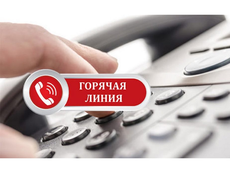 &quot;Горячая линия&quot;  для информирования владельцев животных о фактах заболевания или гибели животных..