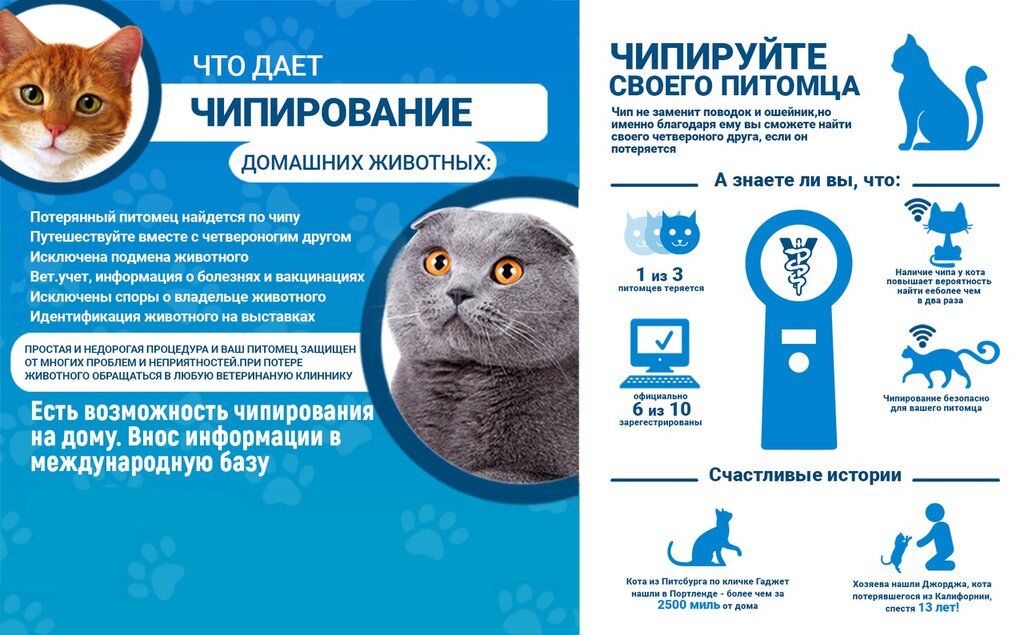 Маркировка домашних животных.