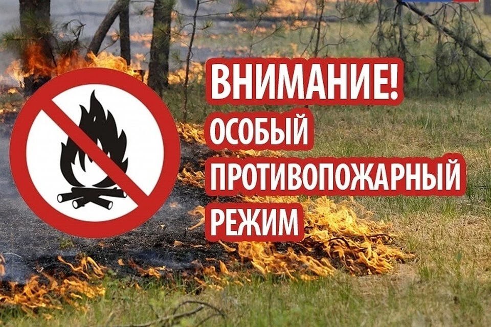 Внимание! На территории Алтайского края введен особый противопожарный режим!.